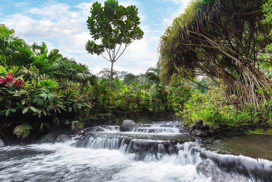 Aguas Termales de Tabacón